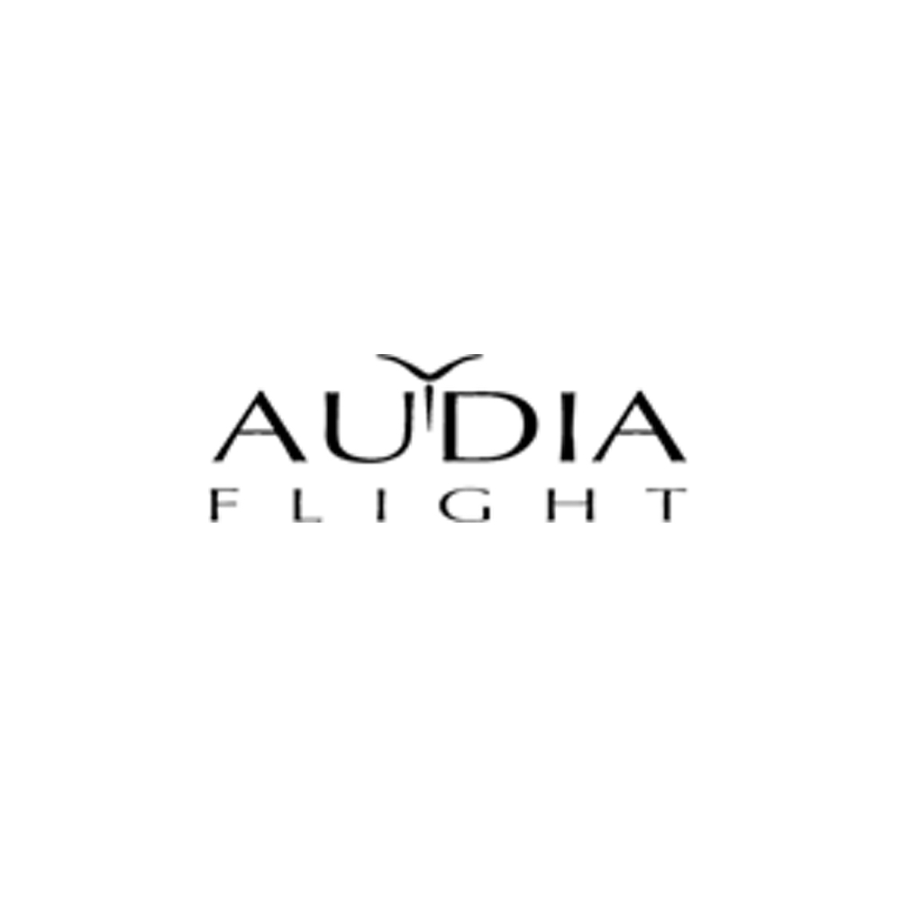 Audia Flight